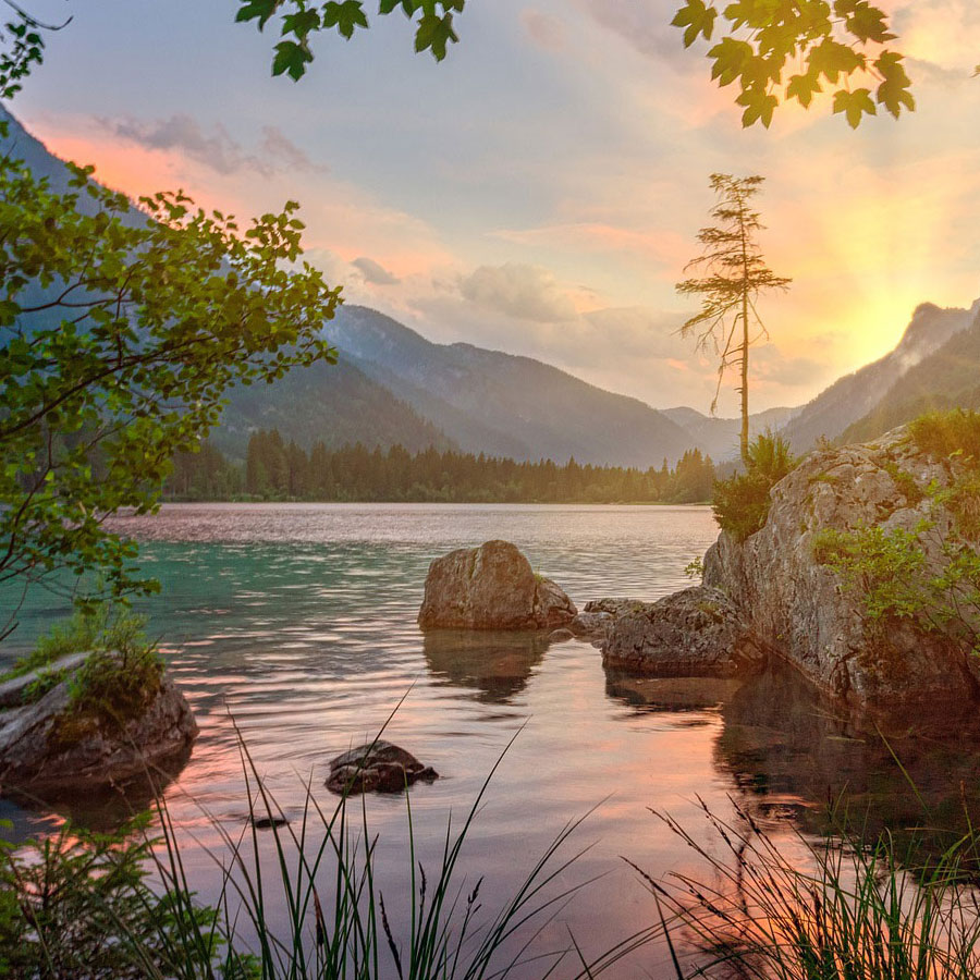 Reiki and Reconnective Healing